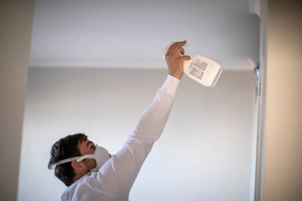 Best Local Mold Removal Service  in Hamlet, NC