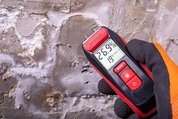 Best Residential Mold Removal  in Hamlet, NC