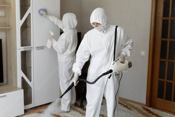 Mold Removal and Inspection in Hamlet, NC