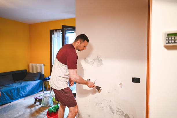 Best Commercial Mold Removal  in Hamlet, NC