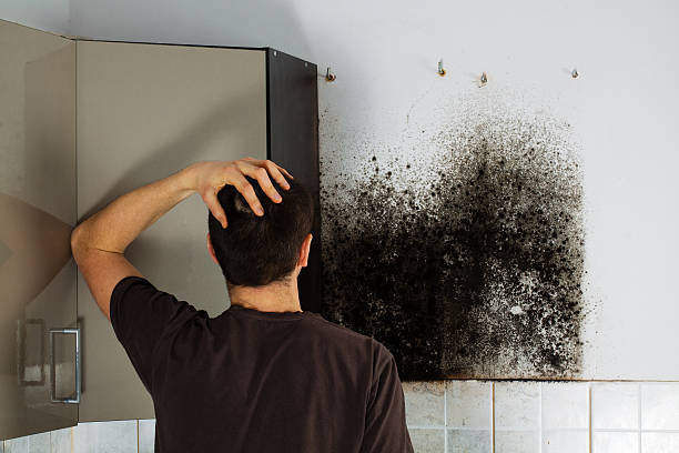 Best Mold Testing  in Hamlet, NC